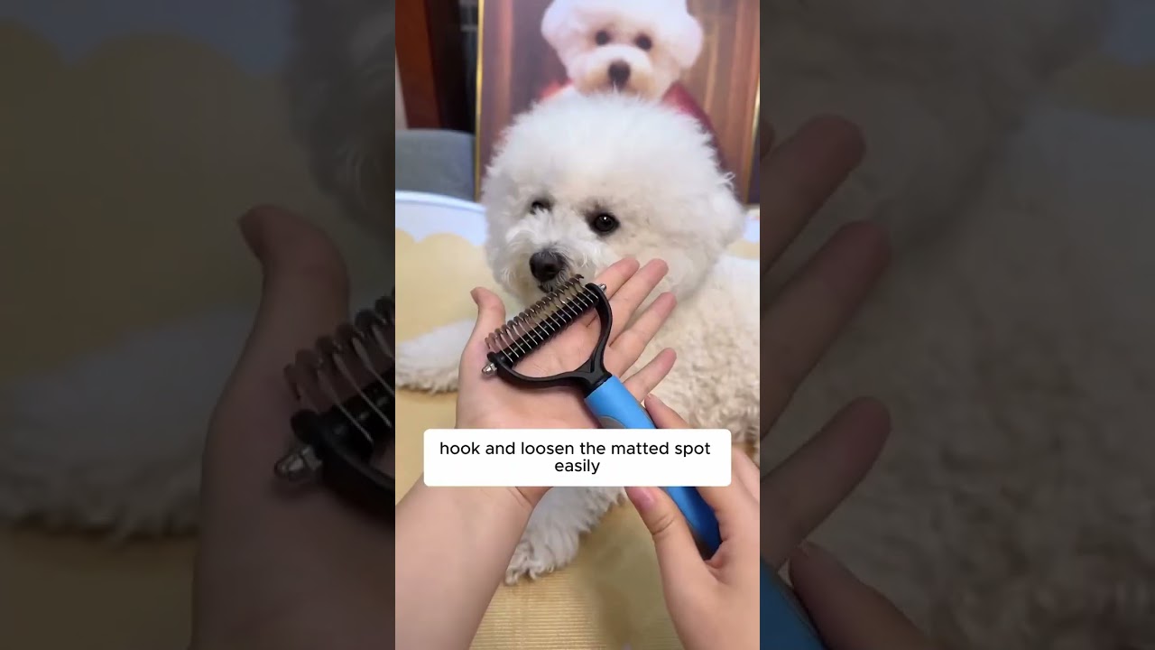 Keep your pet's coat looking good with this Deshedding Comb Grooming Brush&mdash;grab one now! 😻✨