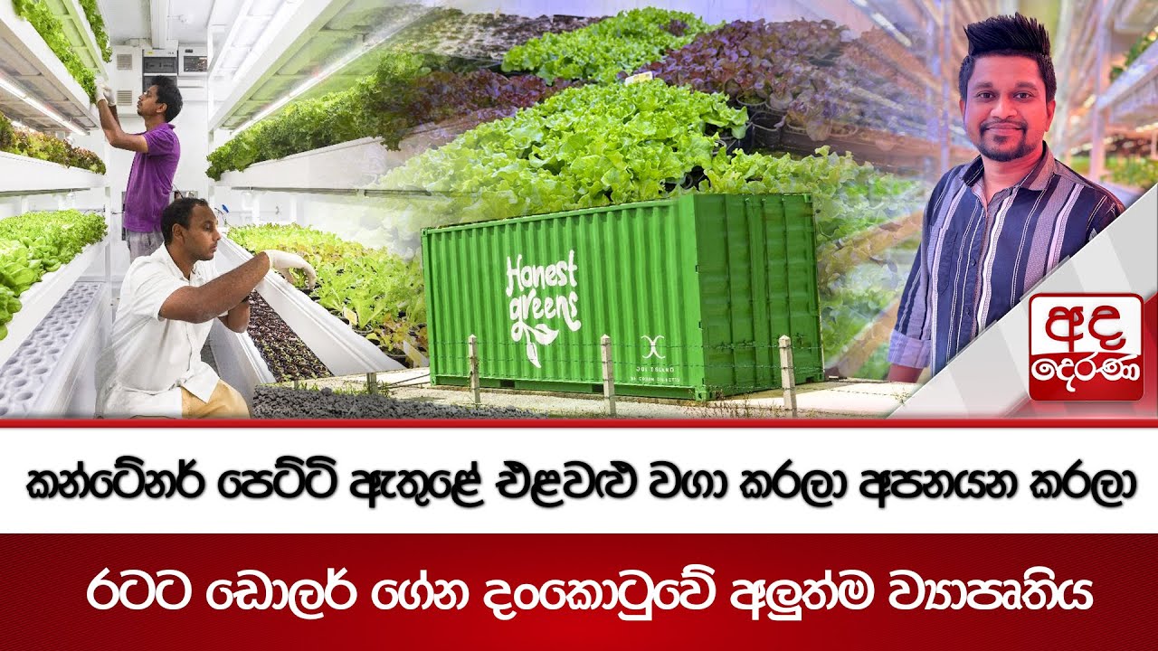 කන්ටේනර් පෙට්ටි ඇතුළේ එළවළු වගා කරලා අපනයන කරලා රටට ඩොලර් ගේන දංකොටුවේ අලුත්ම ව්‍යාපෘතිය
