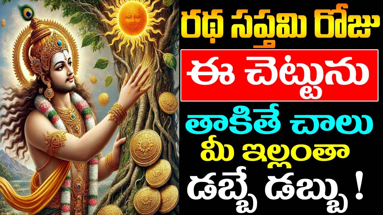 రథ సప్తమి రోజు ఈ చెట్టును తాకితే చాలు మీ ఇల్లంతా డబ్బే డబ్బు ! || #rathasaptami #rathasaptamipooja