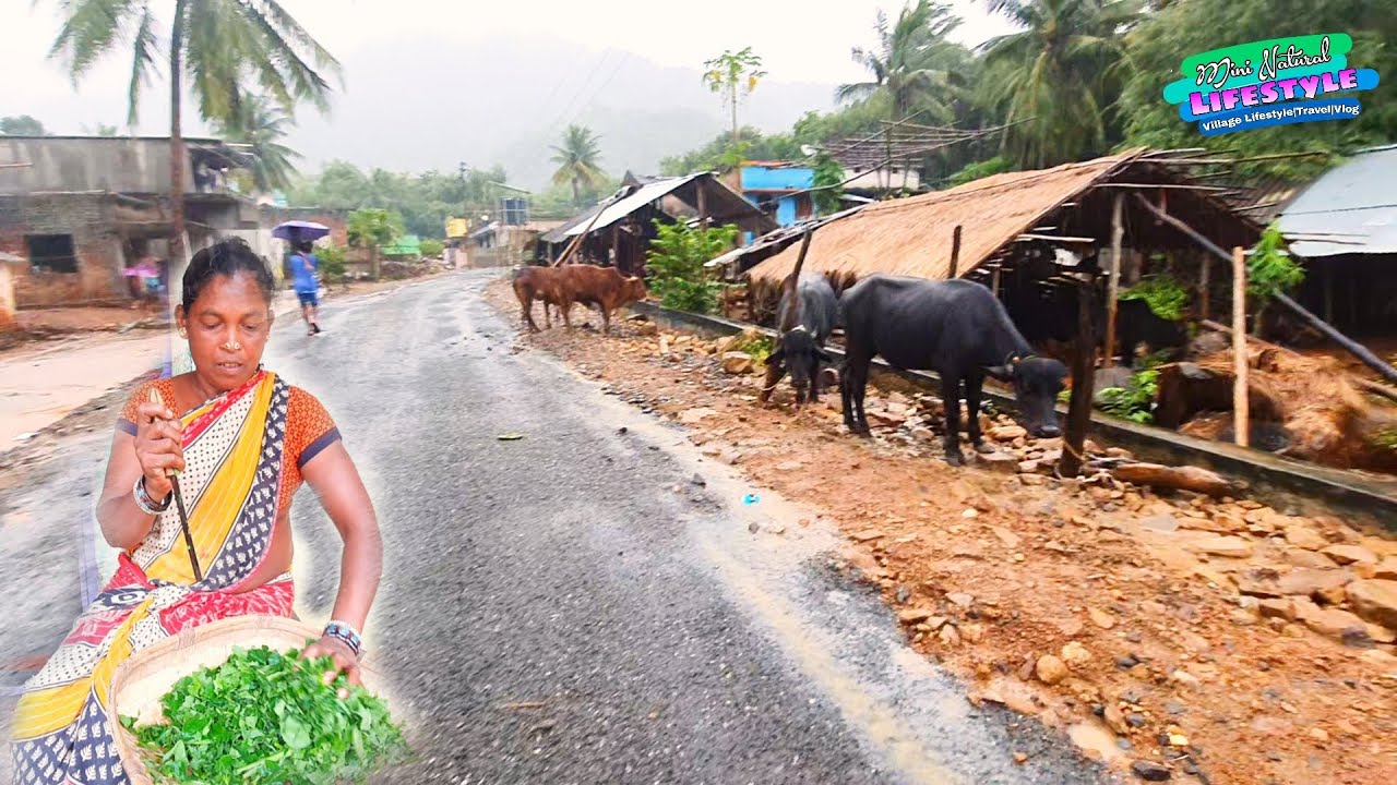 Rural Lifestyle of India|A.P Srikakulam dist