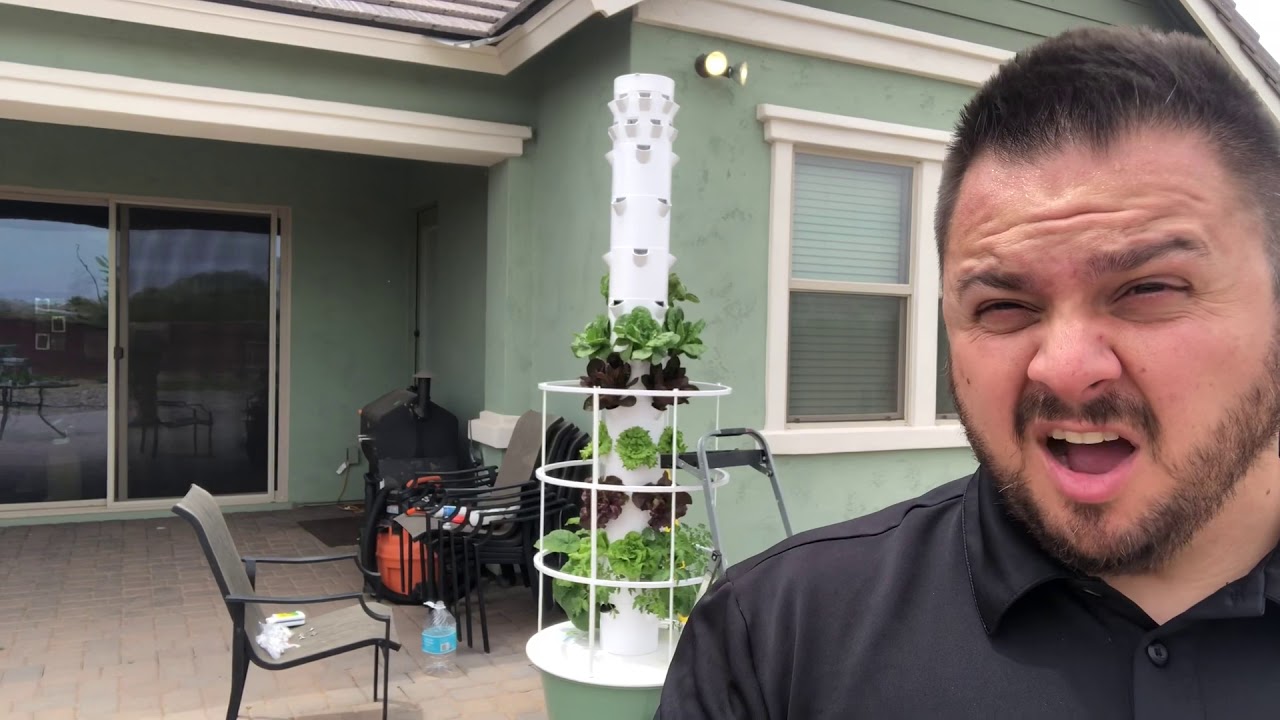 Was it worth it? Tower Garden update...!