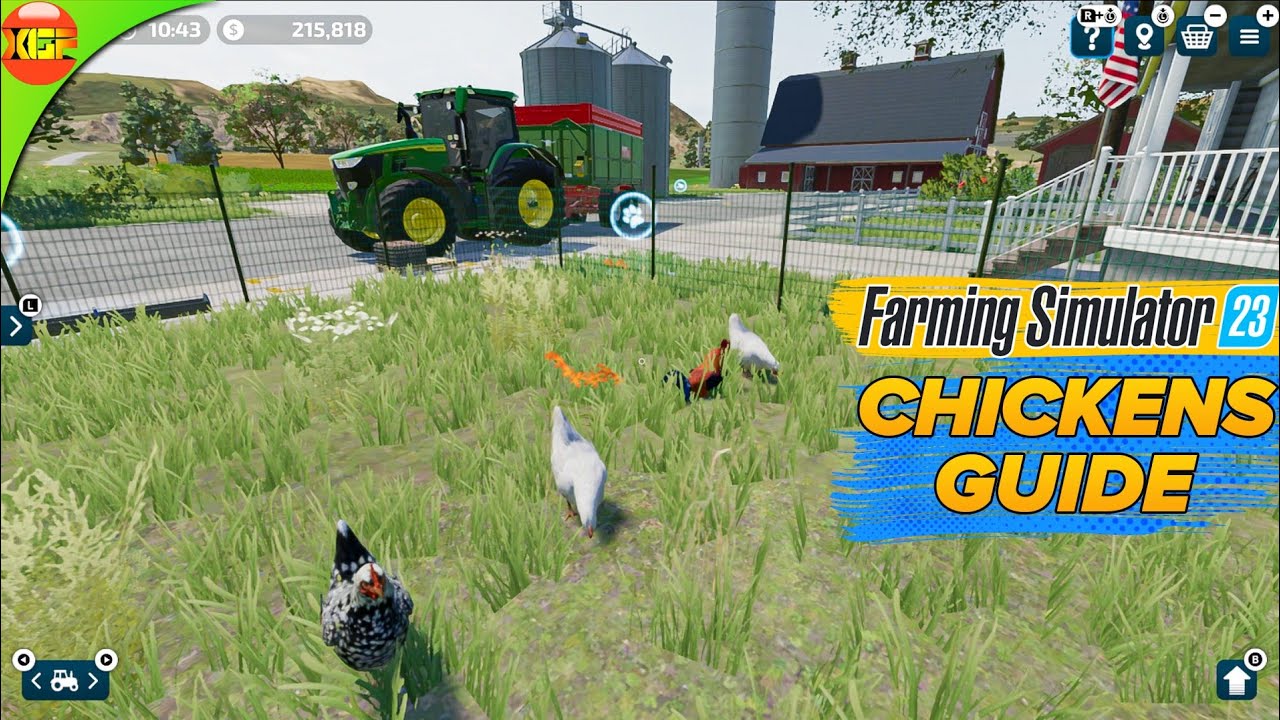 All About Chickens in Farming Simulator 23! FS23 Gameplay