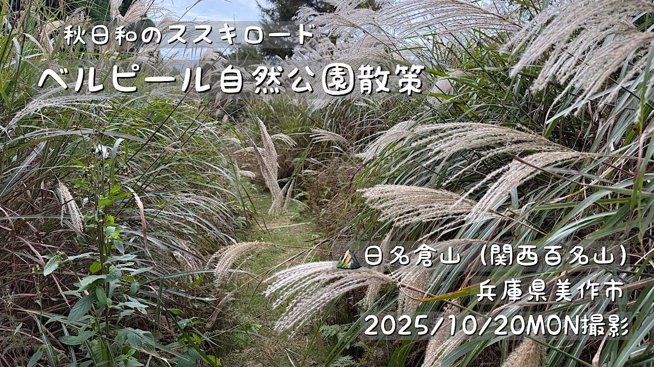 ベルピール自然公園散策（日名倉山）（岡山県美作市）（やさしい4）