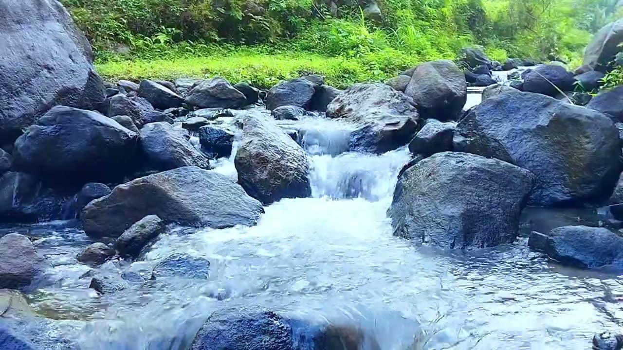 Immersive Nature Sounds for Deep Work Flow