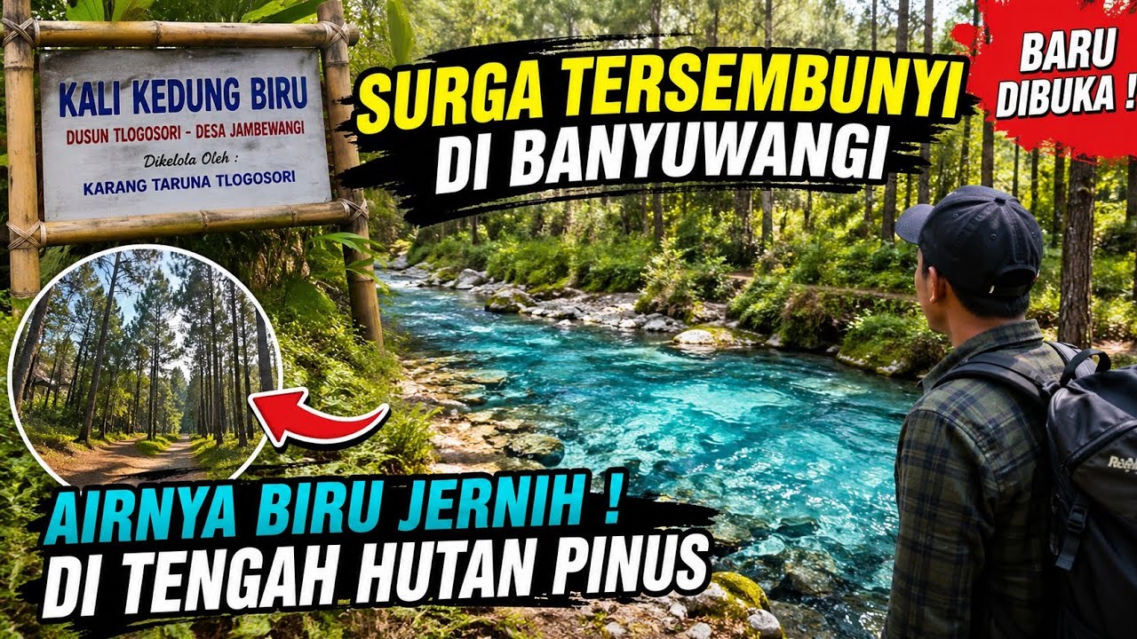 Kali Kedung Biru Surga Tersembunyi di Sempu Banyuwangi | Wisata Baru di Tengah Hutan Pinus |