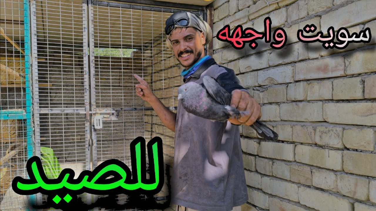سويت واجهيه للطيور صيد من البدايه لحد نصب 