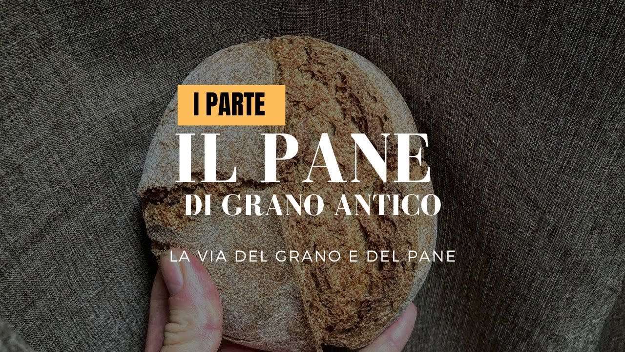 PANE DI GRANI ANTICHI (ricetta): PRIMA PARTE | la via del grano e del pane
