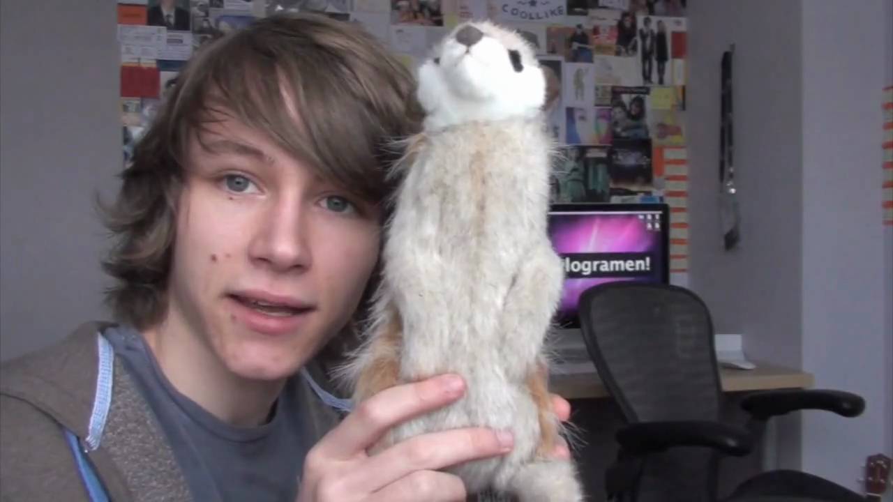01.10.10: Meerkats and The Greatest Show on Earth