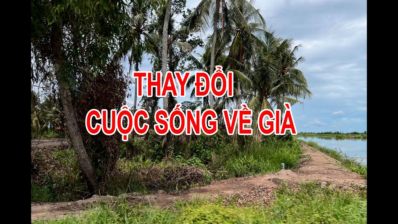 BƯỚC LÊN CON ĐƯỜNG LÀM THAY ĐỔI CUỘC SỐNG KHI VỀ GIÀ