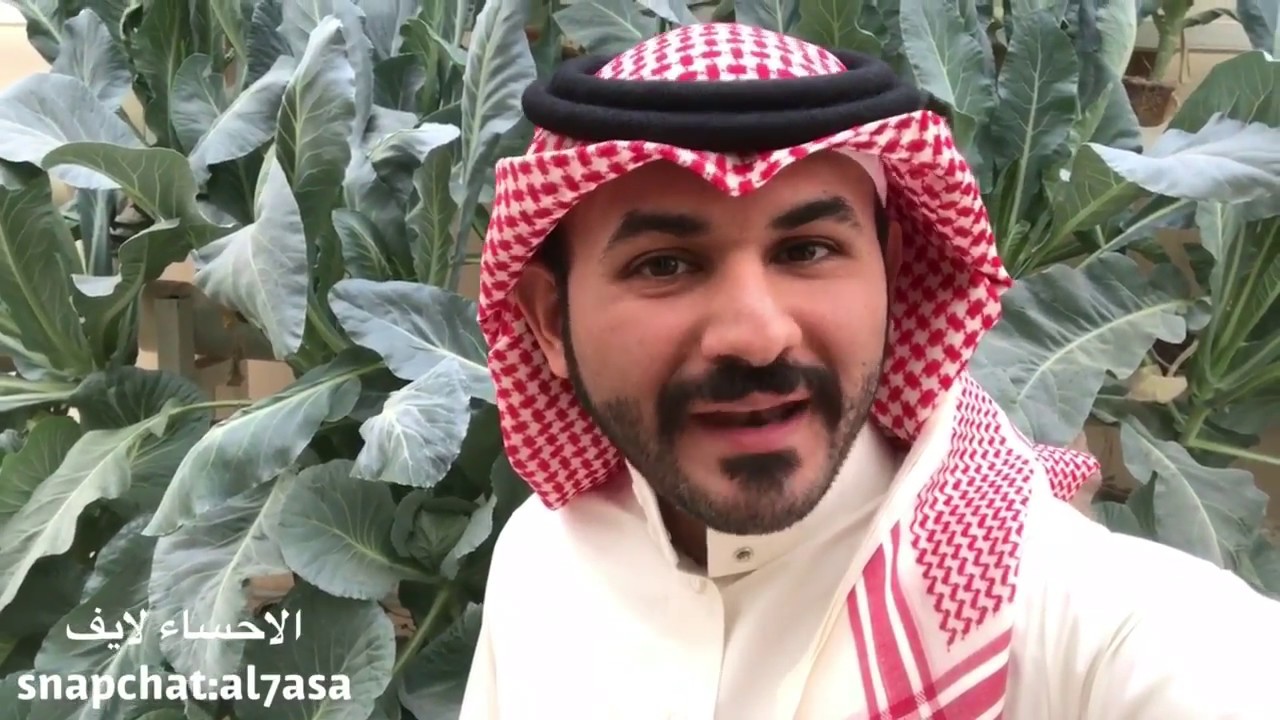 سعودي يحول سطح بيته الى مزرعة بواسطة الزراعة المائية !! | الاحساء لايف