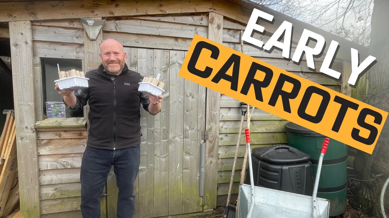 When you want to grow carrots but its not time | Mark's Allotment Plot