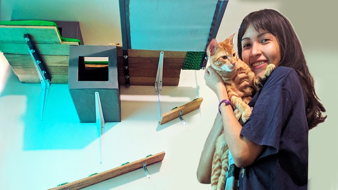 HACIENDO UNA SUPER CASA AÉREA PARA MI GATO RECICLANDO ALGUNOS MATERIALES 😻/KellyBlogs