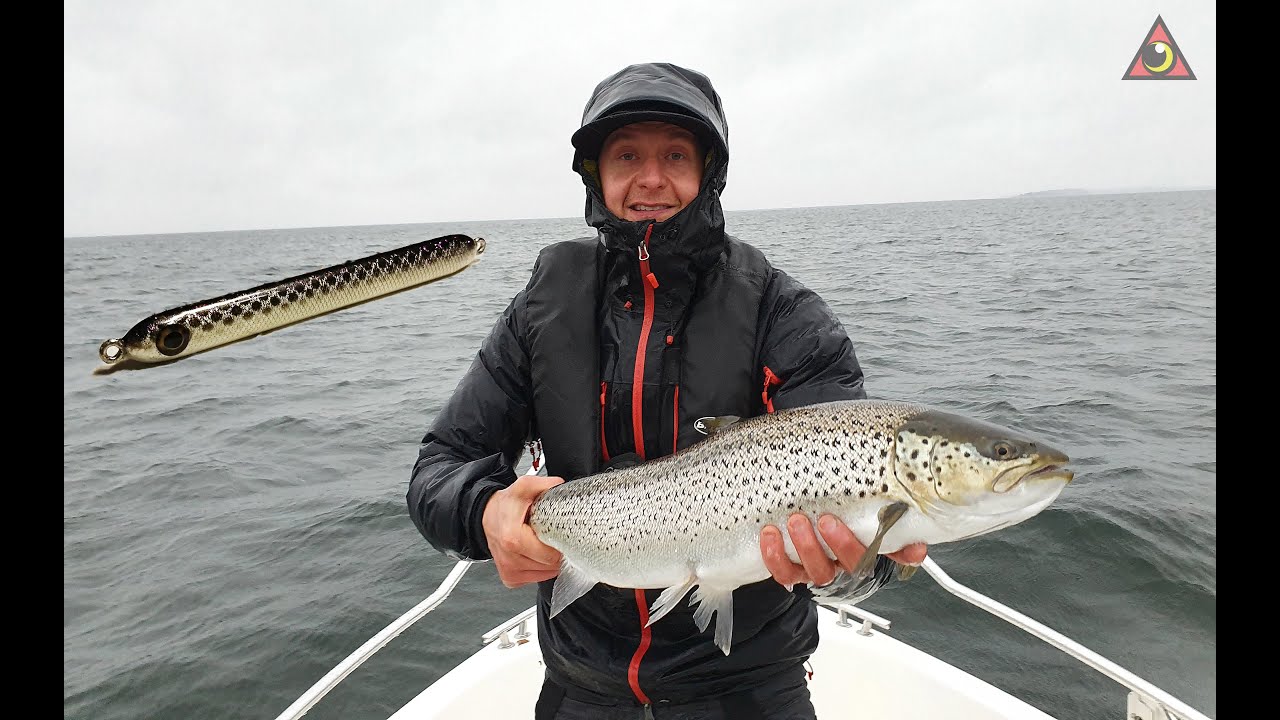 70cm Meritaimen (lyhyt versio)+ tapahtumia