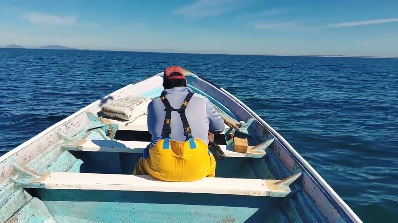 Dé pesca, JL parte 1
