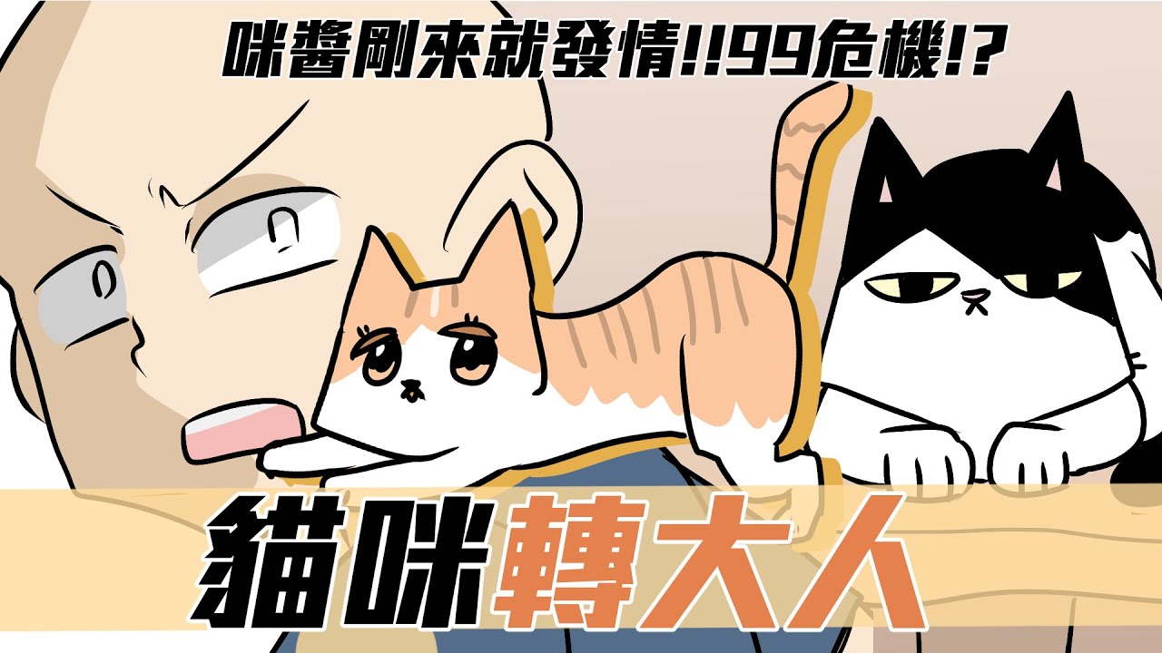 阿啾小劇場-貓咪轉大人!!咪醬發情危機!? | 貓奴全記錄