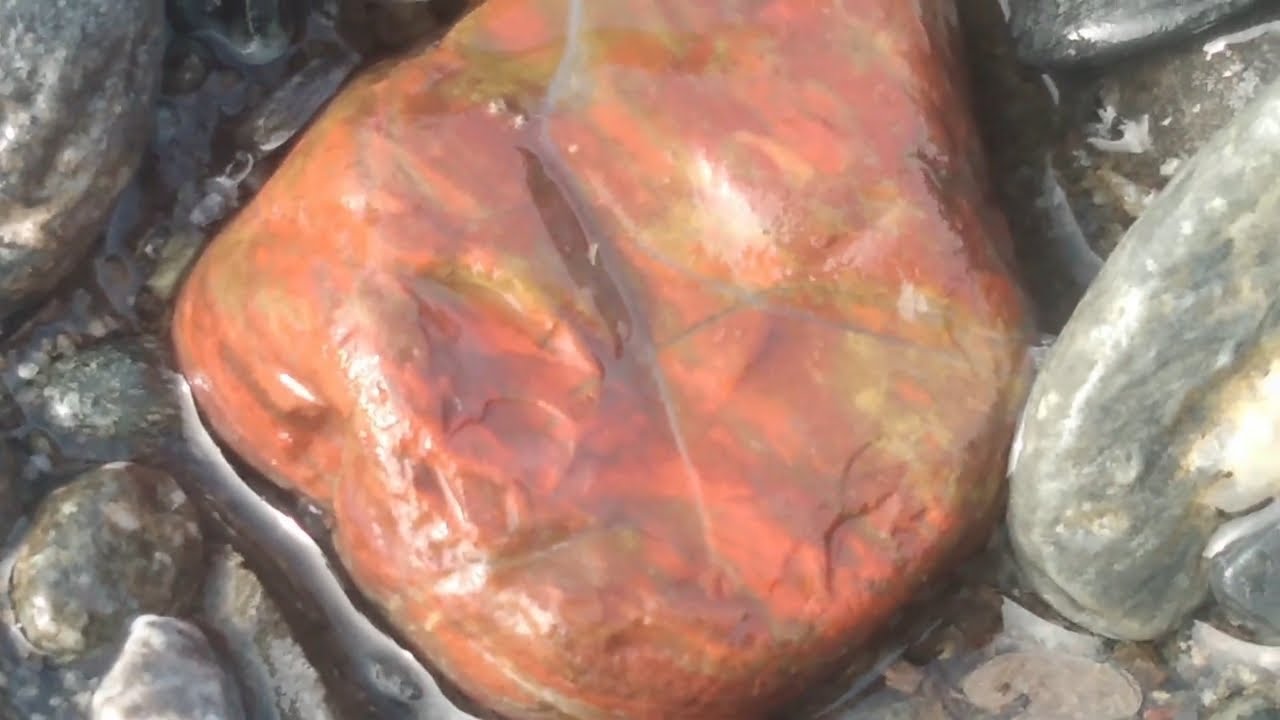 Rockhounding For Lapidary Grade Jasper