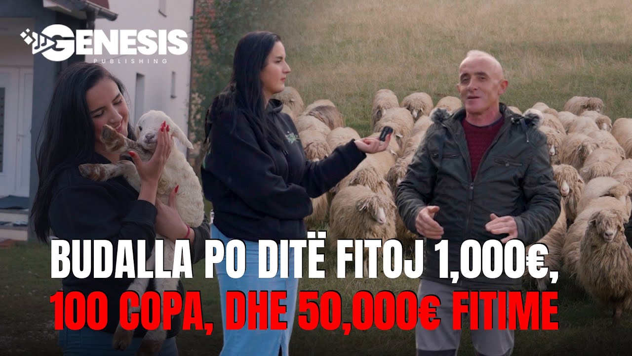 50,000€ fitim me 100 dhen! Rinia thotë “budall”, po unë nxjerri 1,000€ në ditë | HISTORI SUKSESI
