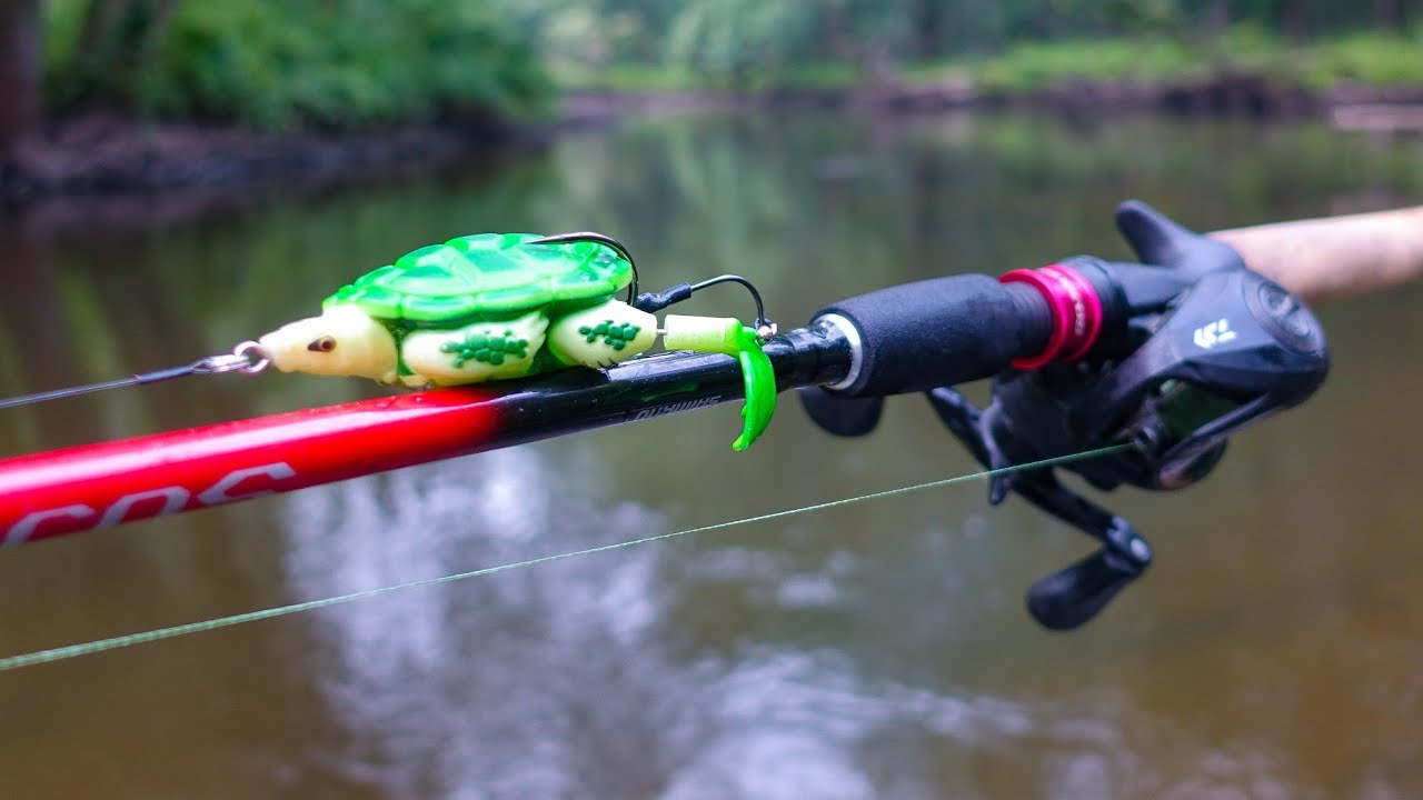 Turtle Lure for Bass??? | Gimmick or Legit?!?