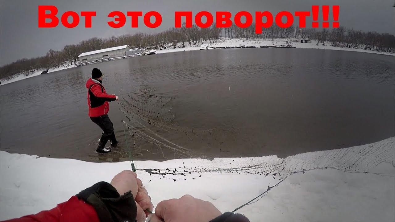 ПРИВЕТ, РЫБНАДЗОР!!! На что ловит жереха Вихров - Fishing Today