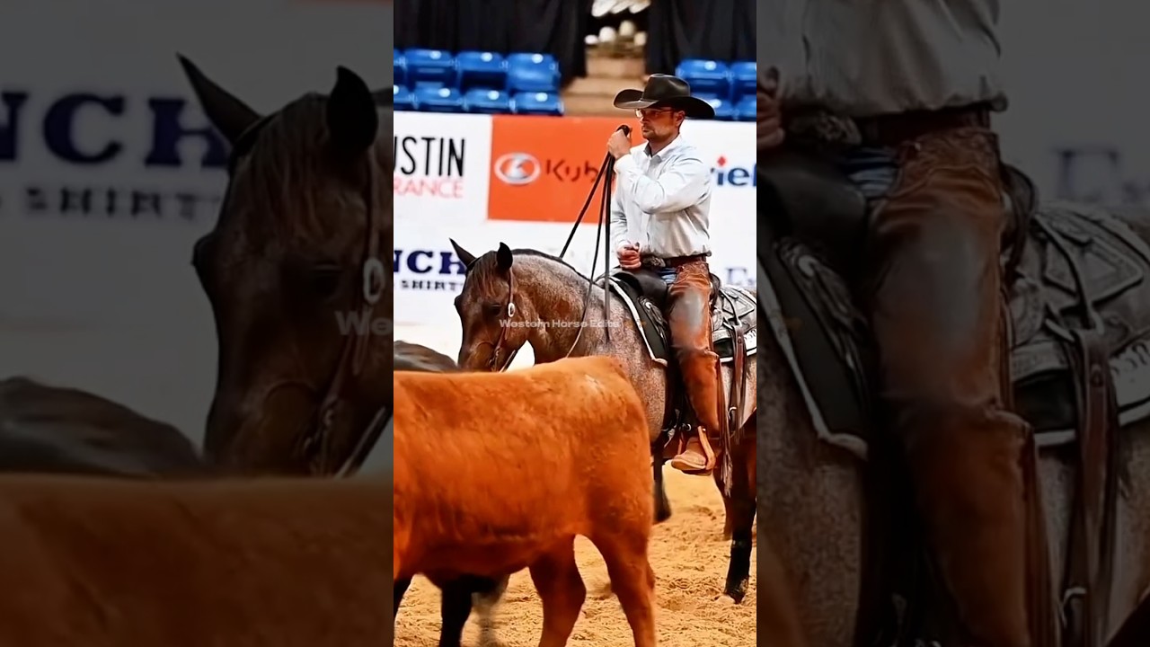 'Too Hot To Tag' & Kenny Platt take the top score in the 4 YO Open Derby Semi-Finals! #ncha #shorts