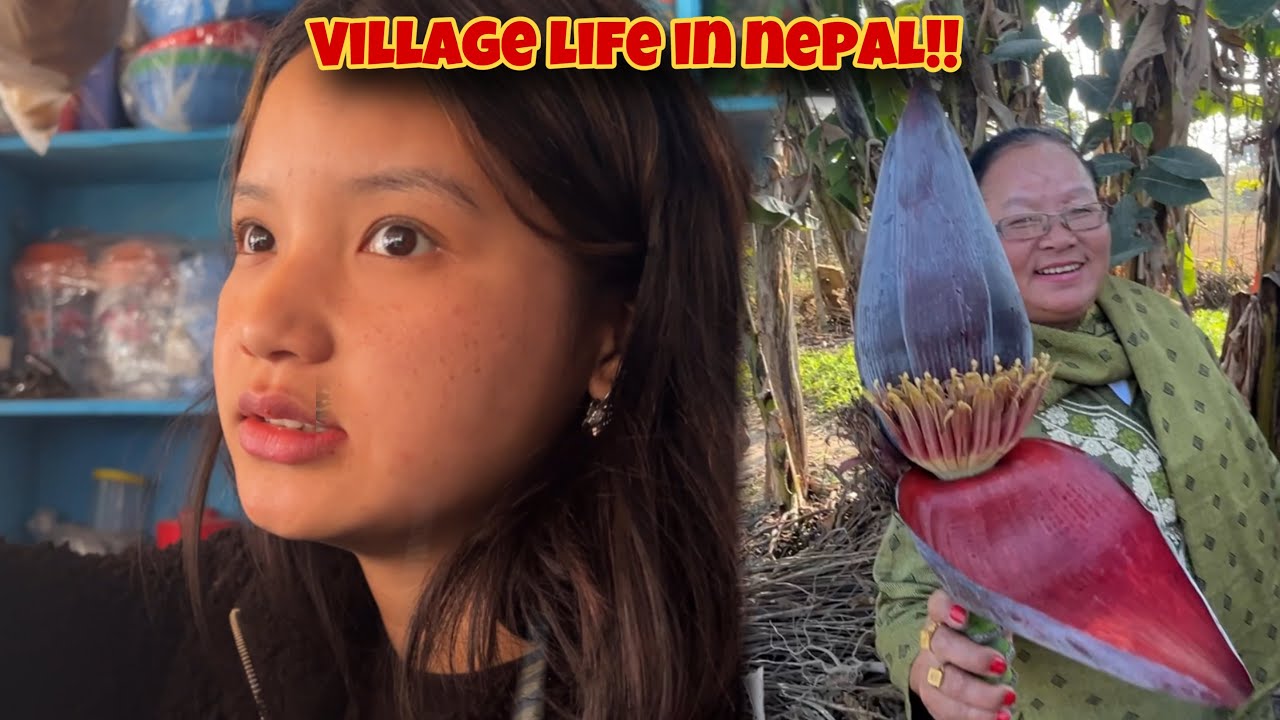 Nepal ghumdey!!😍| village life in nepal!!😇❤️
