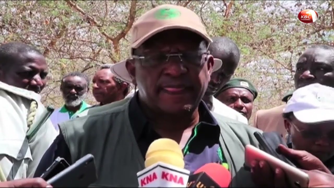 Kenyan Cabinet Secretary for the Ministry of Environment and Forestry visits Better Globe Forestry