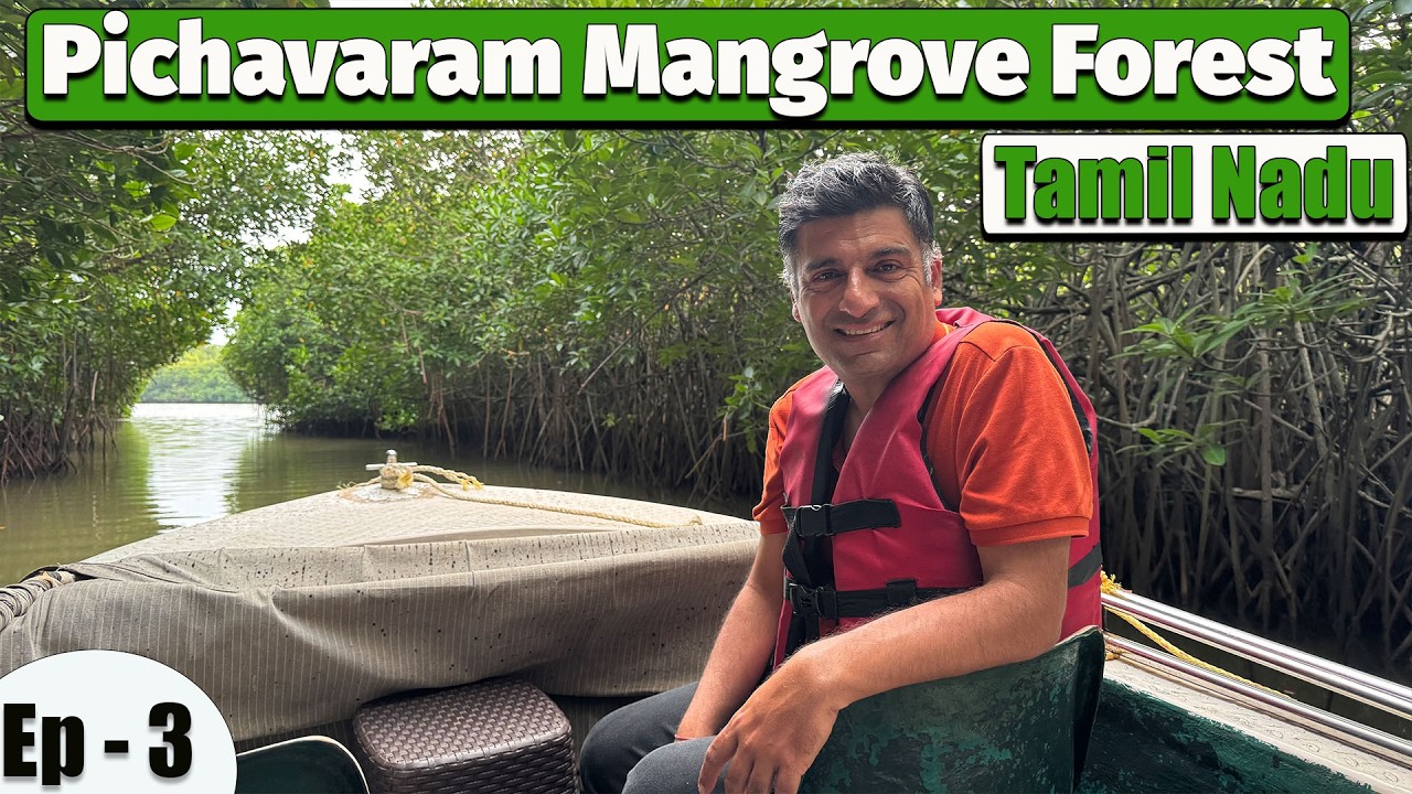 Ep 3 Chidambaram to Auroville | Tamil food in lunch, | Pichavaram Mangrove Forest | Tamil Nadu