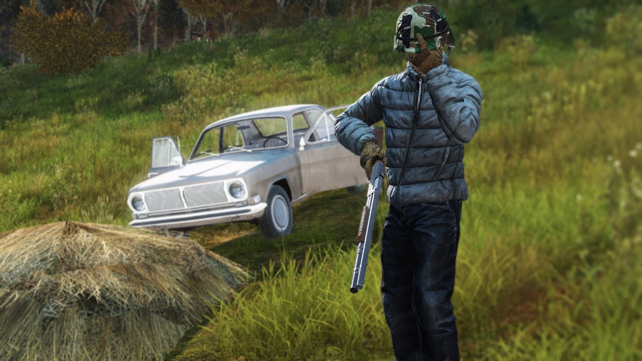 When DAYZ Doesn't Follow the Script - DAYZ 1440p