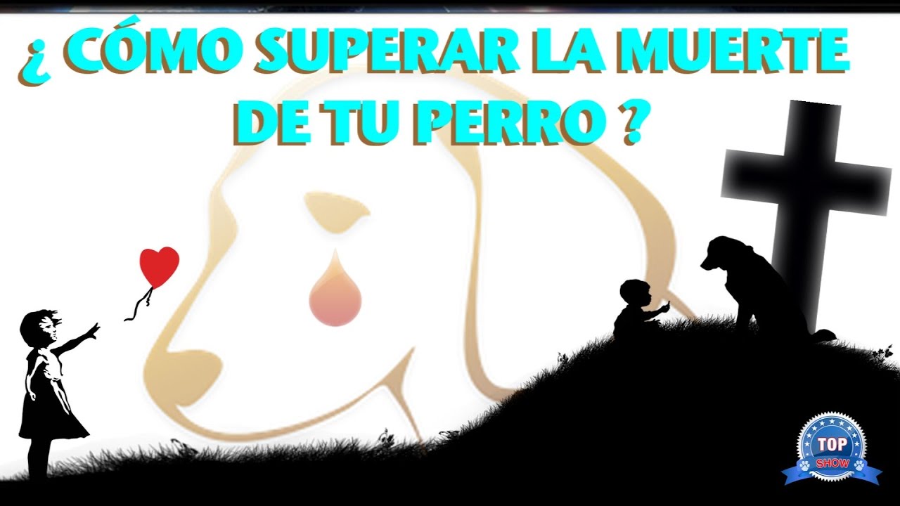 ¿CÓMO SUPERAR LA MUERTE DE TU PERRO?  