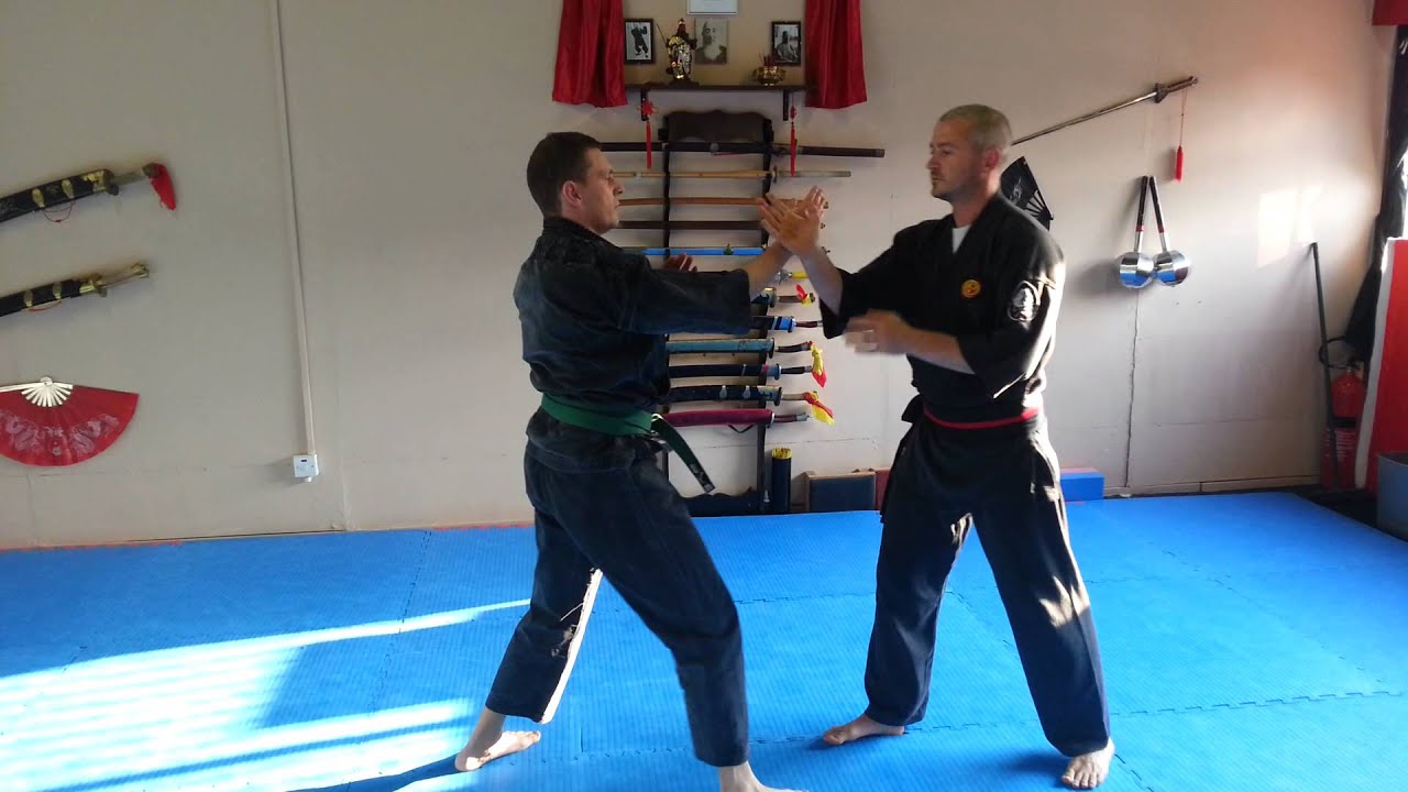 Chin na training