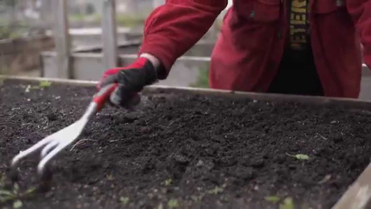 The Garden Minute: Preparing Your Raised Bed for Planting