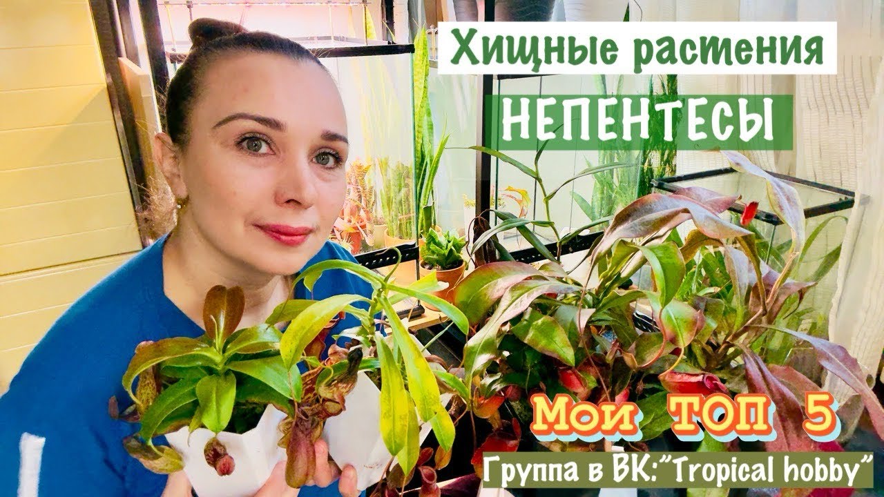 ТОП 5 НЕПЕНТЕСОВ⚠️, которые можно купить в цветочном магазине. 6-й бонусный 😜