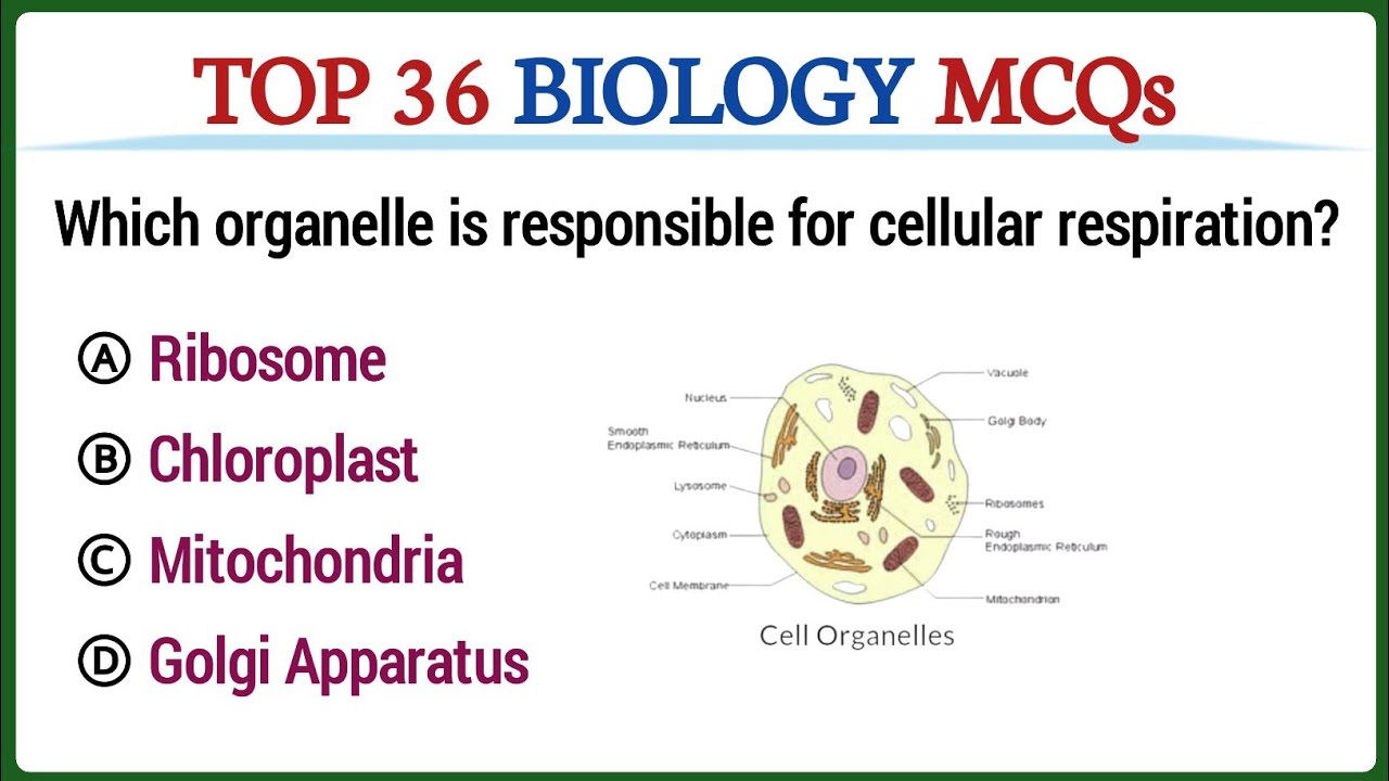 Top 36 biology MCQs | Biology mcq with answers | multiple choice questions