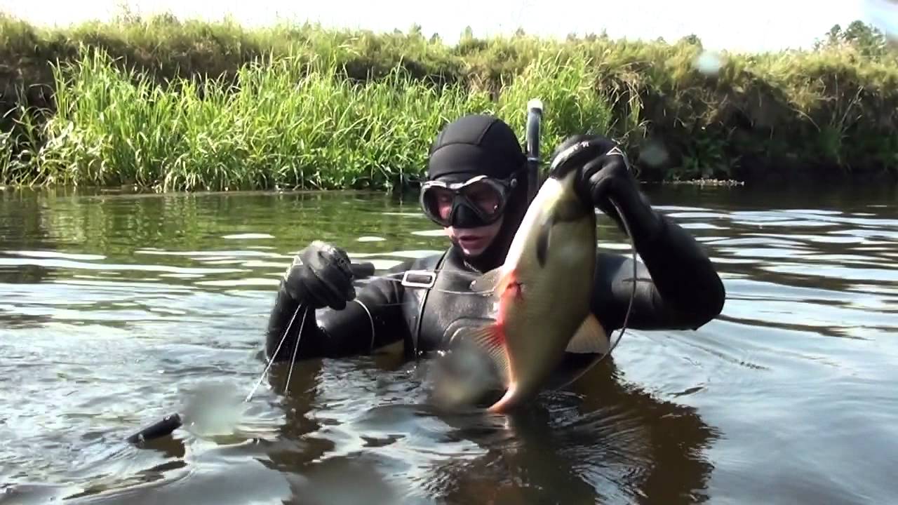Подводная Охота на Березине.Spearfishing.  Шкиль Игорь