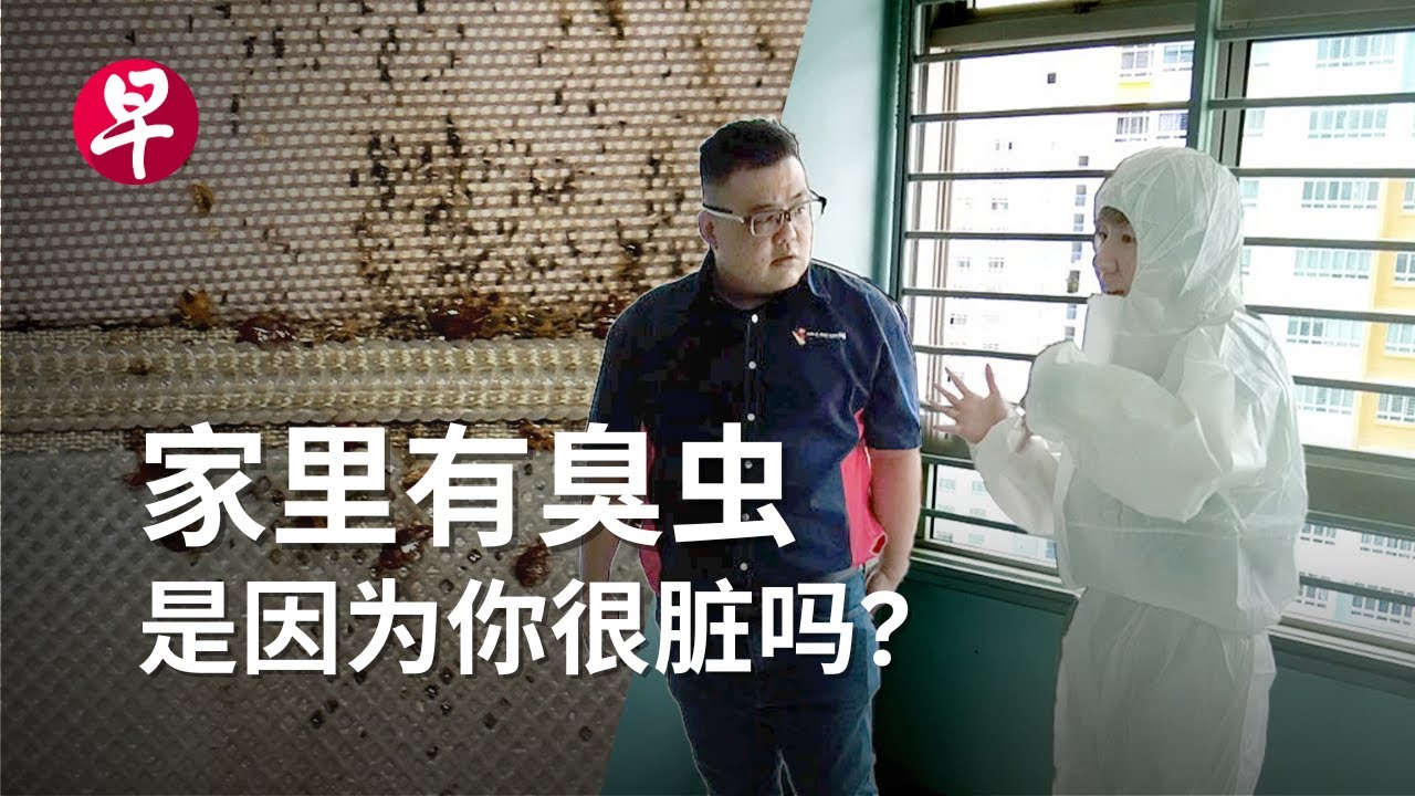 家里有臭虫 不能说的秘密