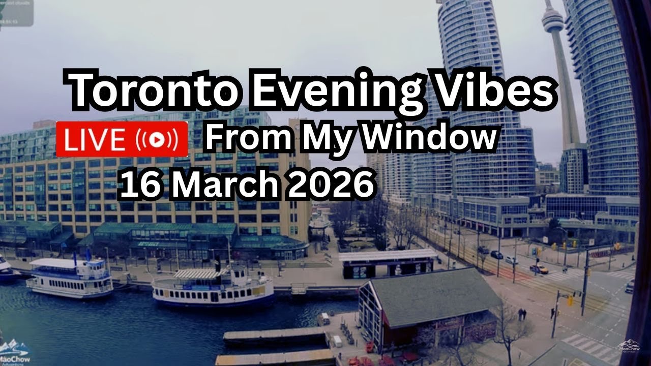 🔴Toronto Window Cam LIVE HD | MaoChow Adventure 16th March 2026 Windy Evening vibes
