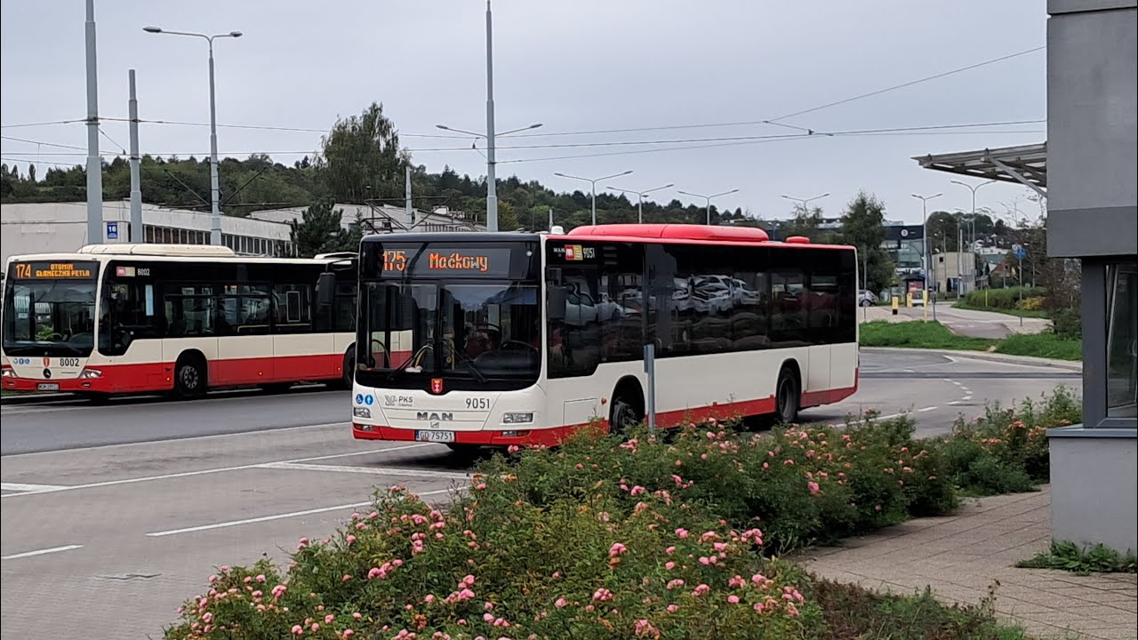 MAN NL283 Lion's City #9051 (175 - Starogardzka) [PKS Gdańsk]