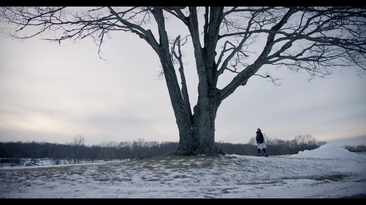 Canon C300 mk iii /  Sigma Art 18-35 f1.8
