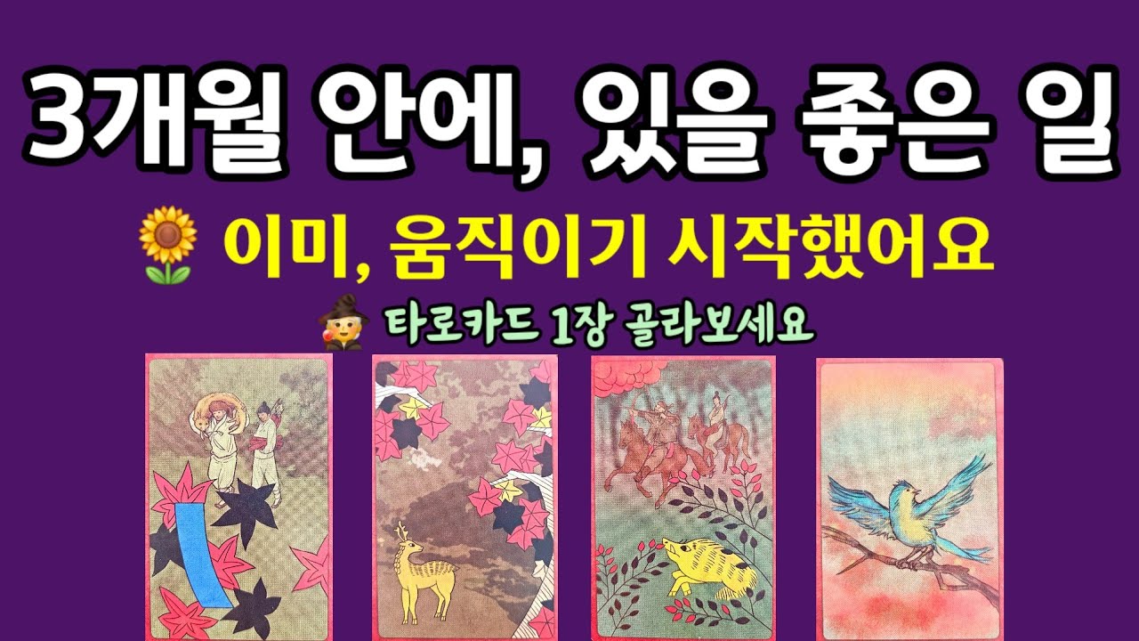 #타로