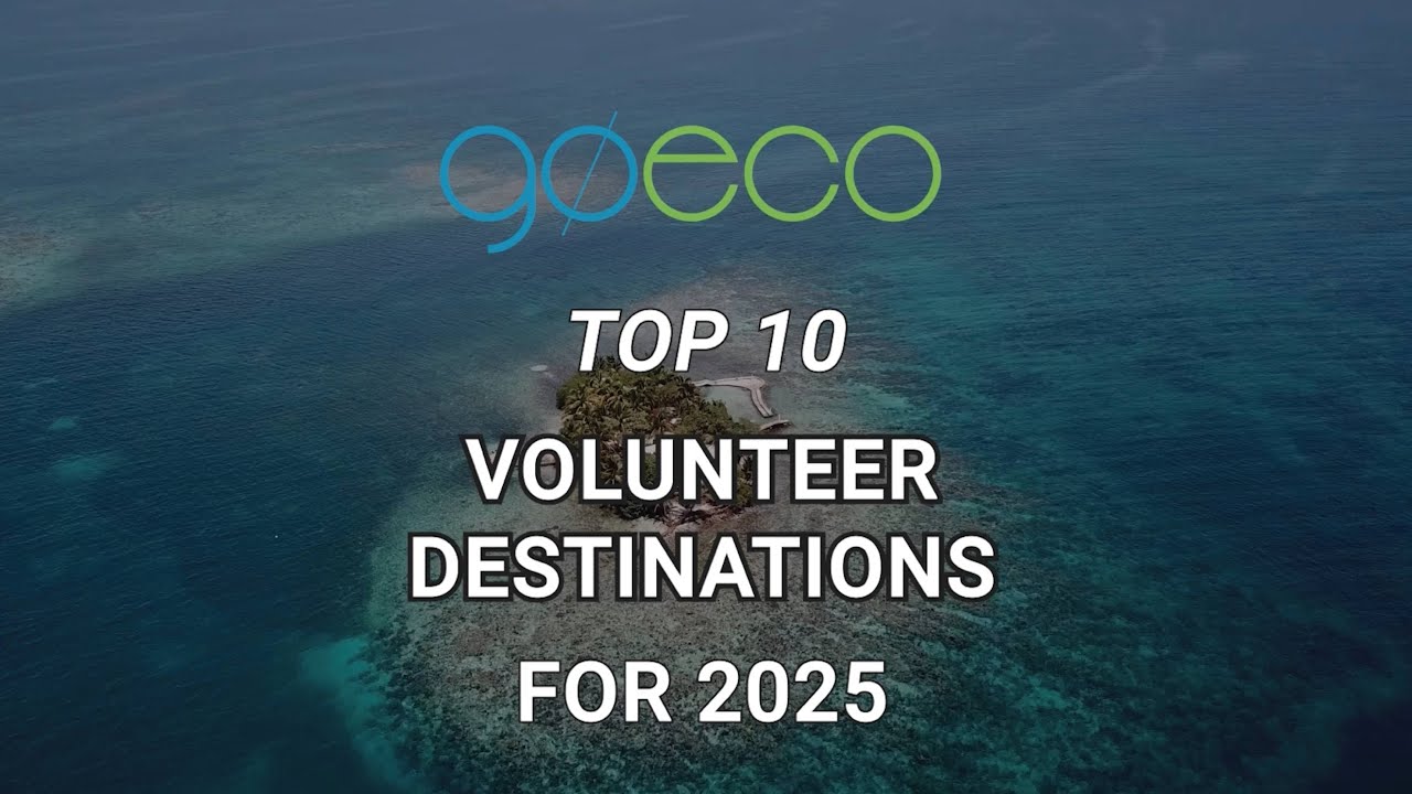 Top 10 Volunteer Projects for 2025 | Best Opportunities for Global Impact!