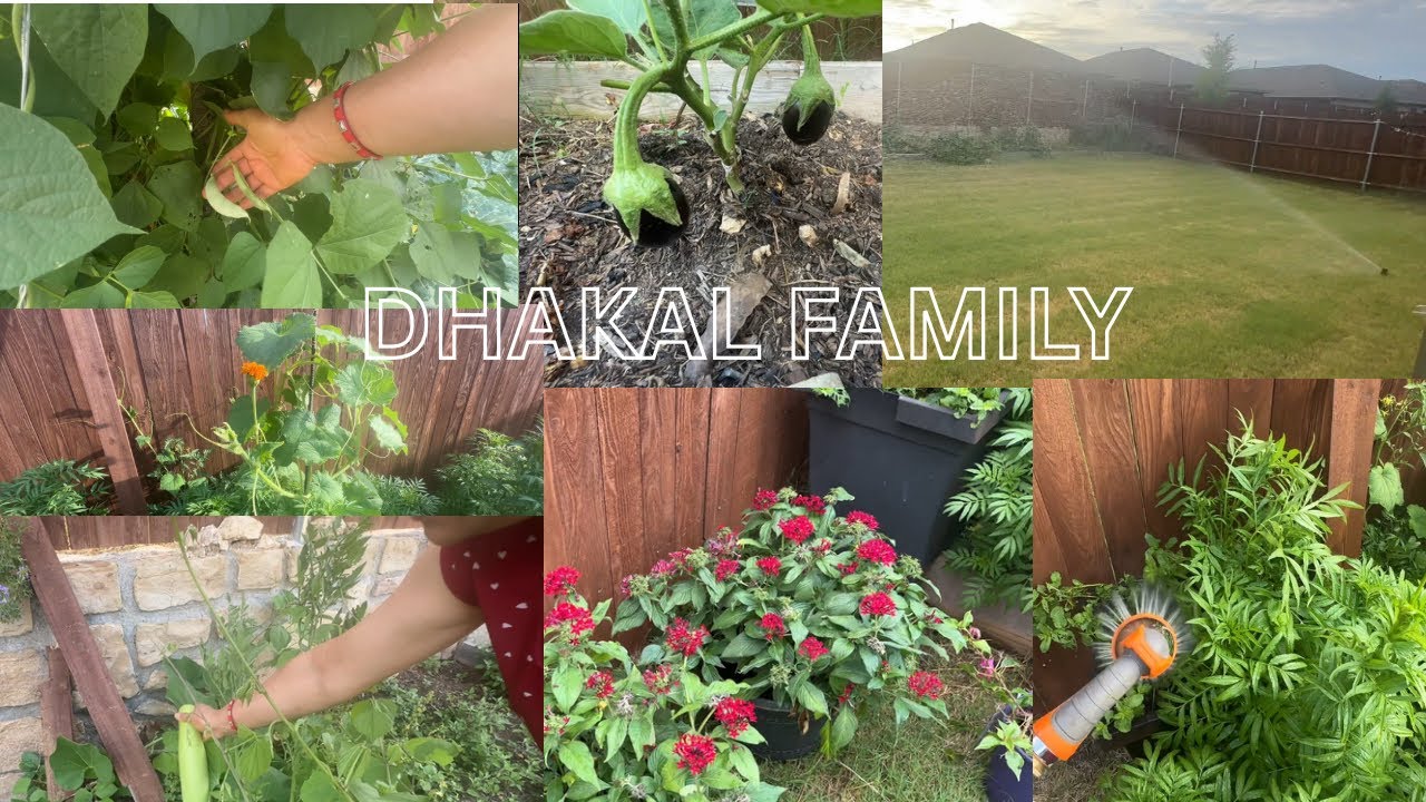 HAMRO SANO BARI MA KK FALEKO CHA TA? 🇺🇸| DHAKAL FAMILY