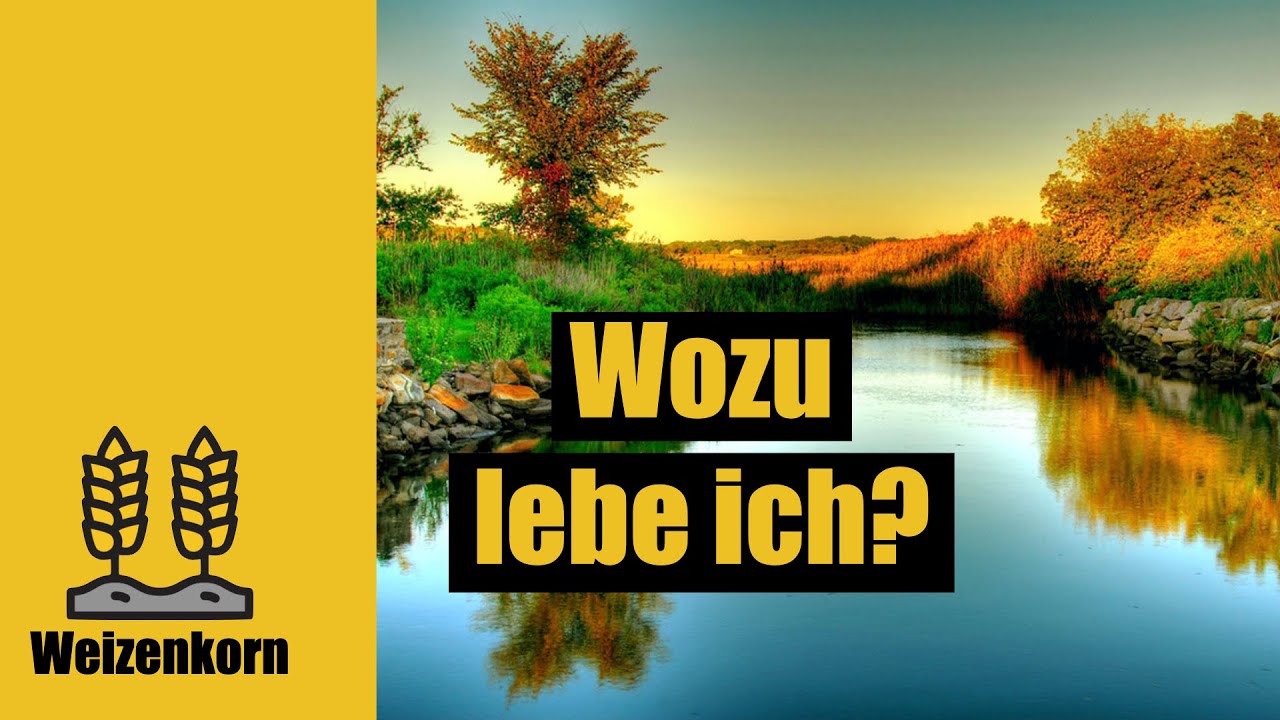 Wozu lebe ich? Gottes Absicht mit uns Menschen