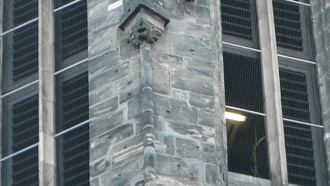 Konzert auf dem Carillon des Roten Turm zu Halle (Saale) 1/7