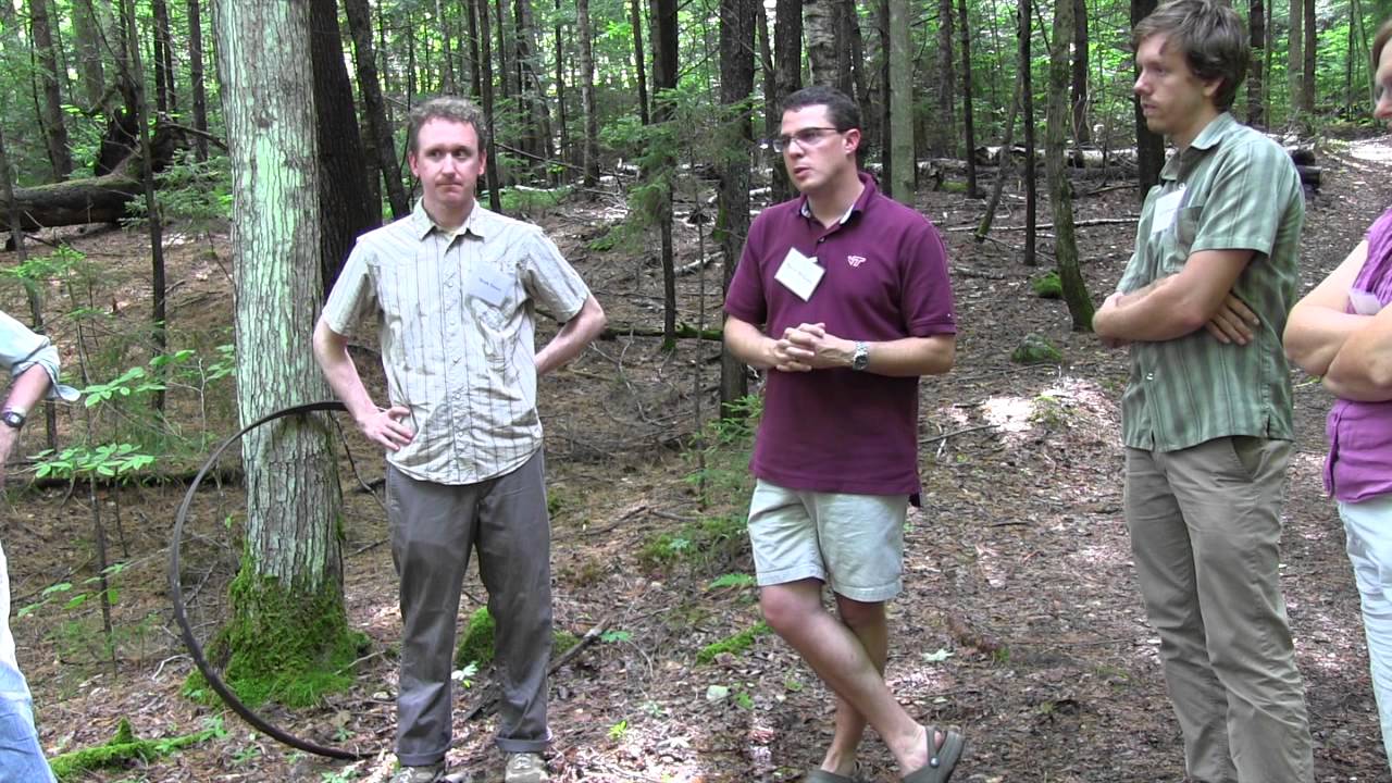 Hubbard Brook Experimental Forest Walking Tour