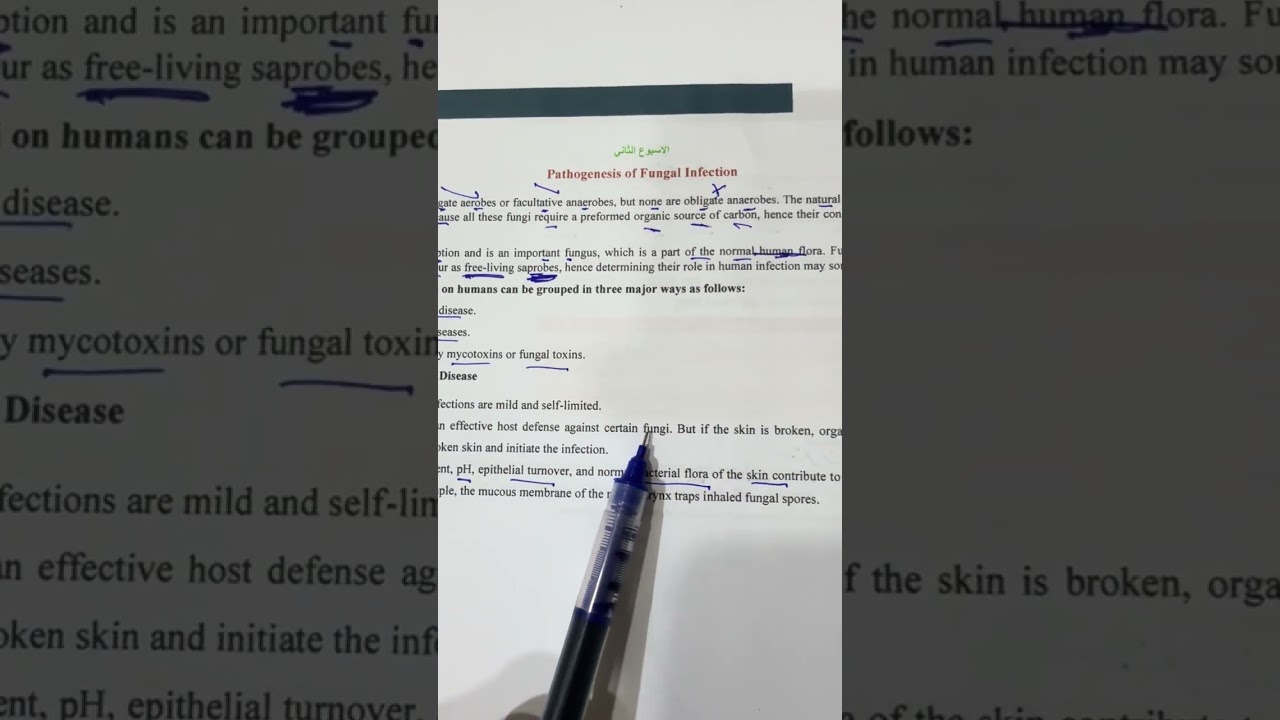شرح محاضرة الفطريات الثانية وزاري النظري مرحلة ثالثة مختبرات طبية ٢٠٢٦ /الاستاذ مسلم عقيل 
