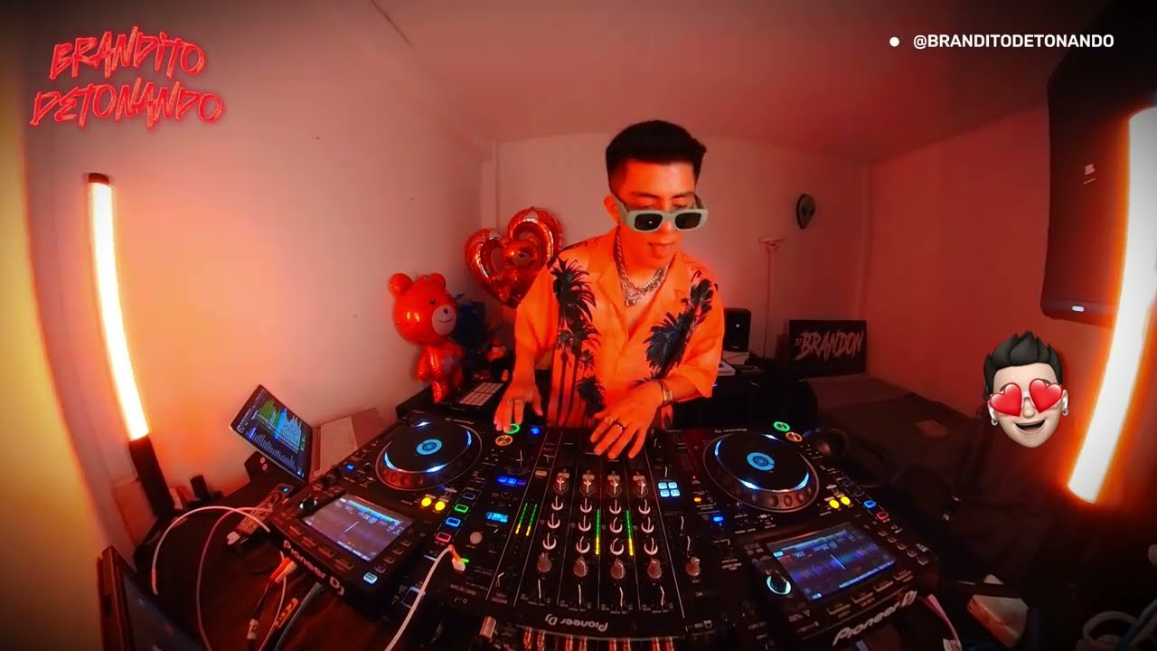 MIX REGGAETON HITS 2025🥳(BAD BUNNY, RAUW, FEID, KAROLG, ANUEL, CRISMJ, FLOYYMENOR, STANDLY)BRANDITO🧨