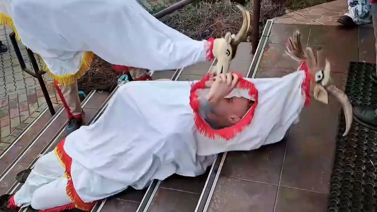 Koza Lubanie około sklepów 13.02.2024 - video Aleny Paulouskiej