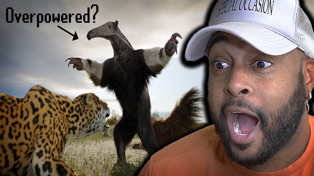 ARE ANTEATERS OP? | Reaction