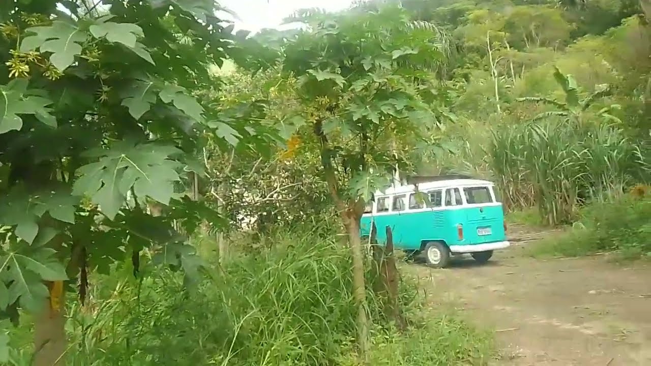 Domingou 