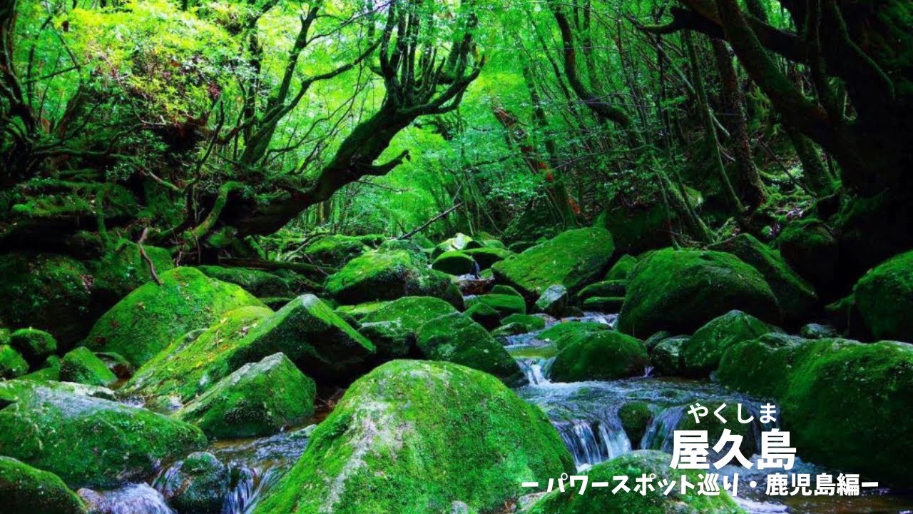 【屋久島】島全体がパワースポット！？大自然のエネルギー　Discover Japan's Mystical Shrines and Temples